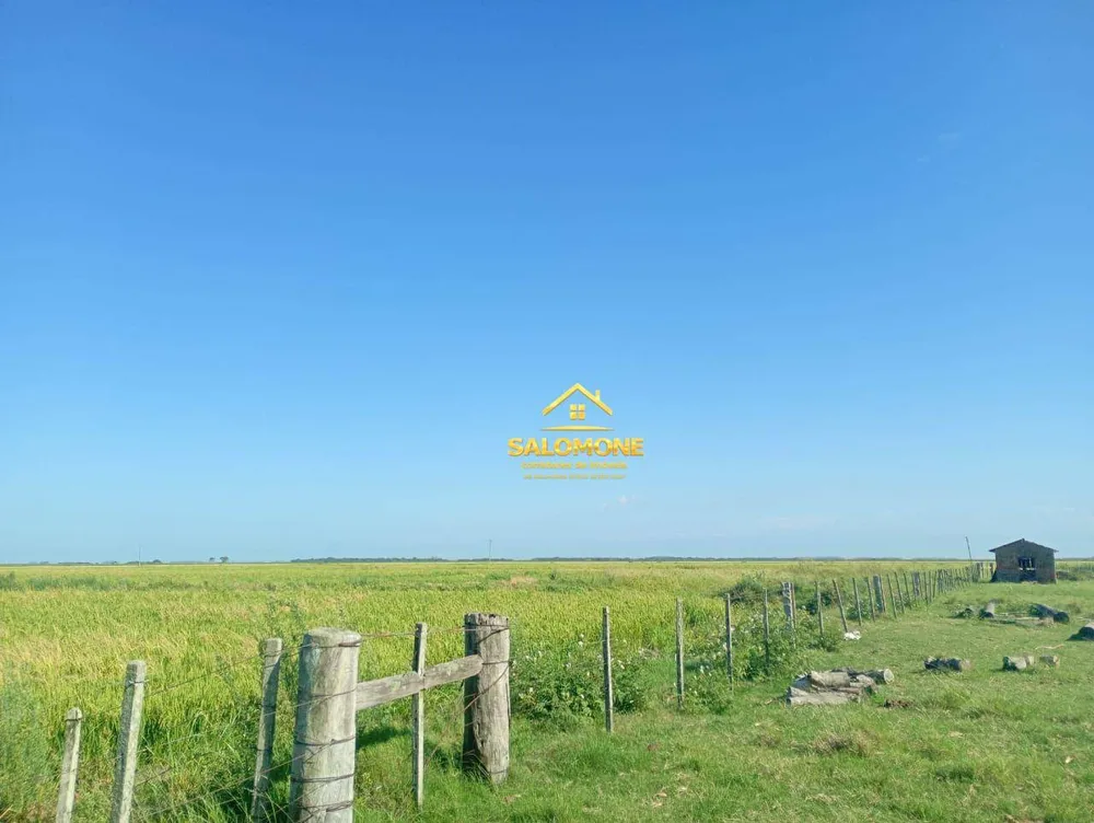 Fazenda, 170 hectares - Foto 6