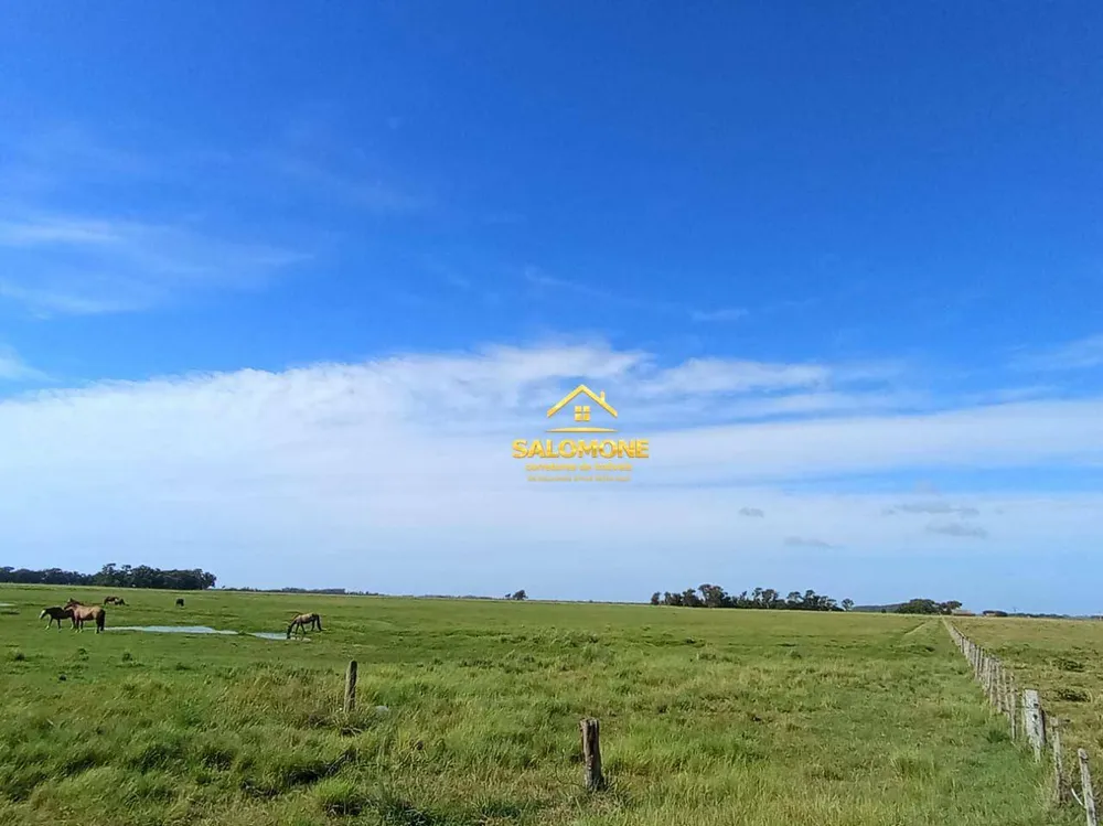 Fazenda, 170 hectares - Foto 4