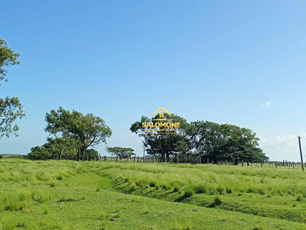 Fazenda, 170 hectares - Foto 1