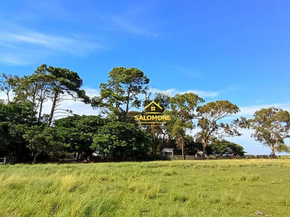 Fazenda, 170 hectares - Foto 9