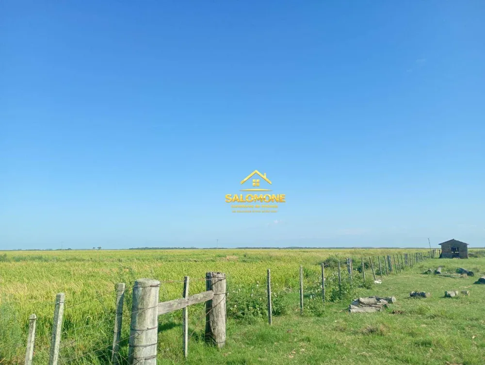 Fazenda, 170 hectares - Foto 2