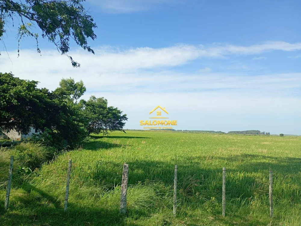Fazenda, 170 hectares - Foto 11