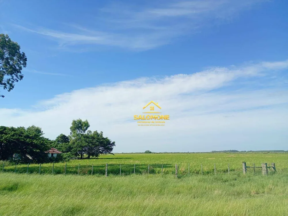 Fazenda, 170 hectares - Foto 10