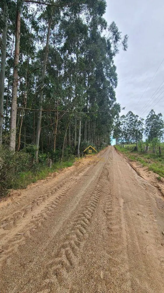 Sítio, 19 hectares - Foto 7