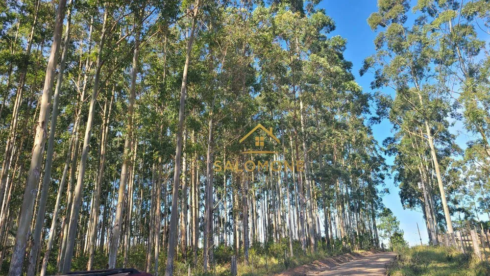 Sítio, 19 hectares - Foto 1