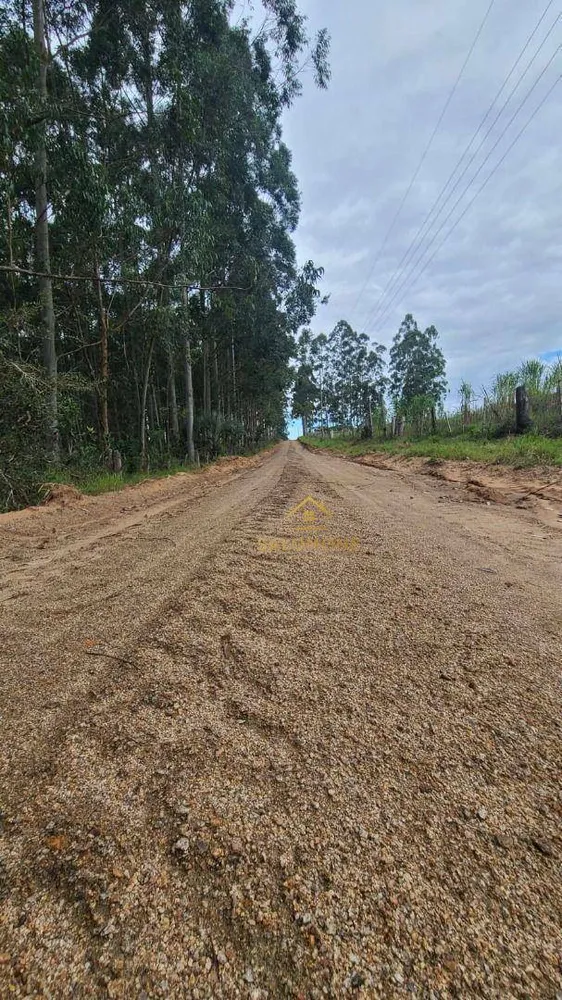 Sítio, 19 hectares - Foto 10