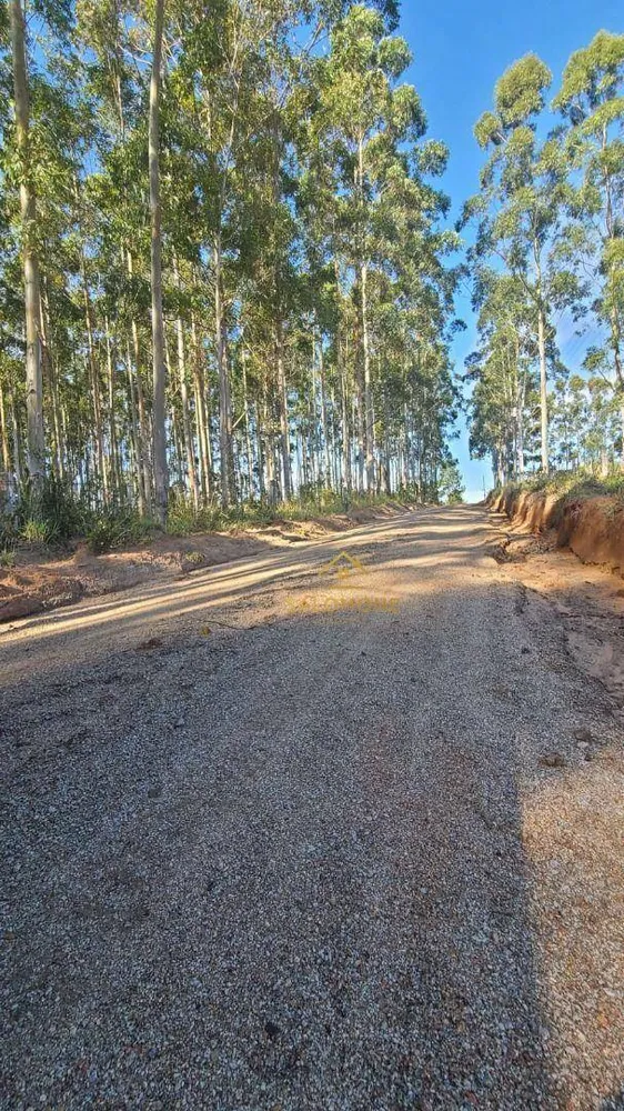 Sítio, 19 hectares - Foto 12