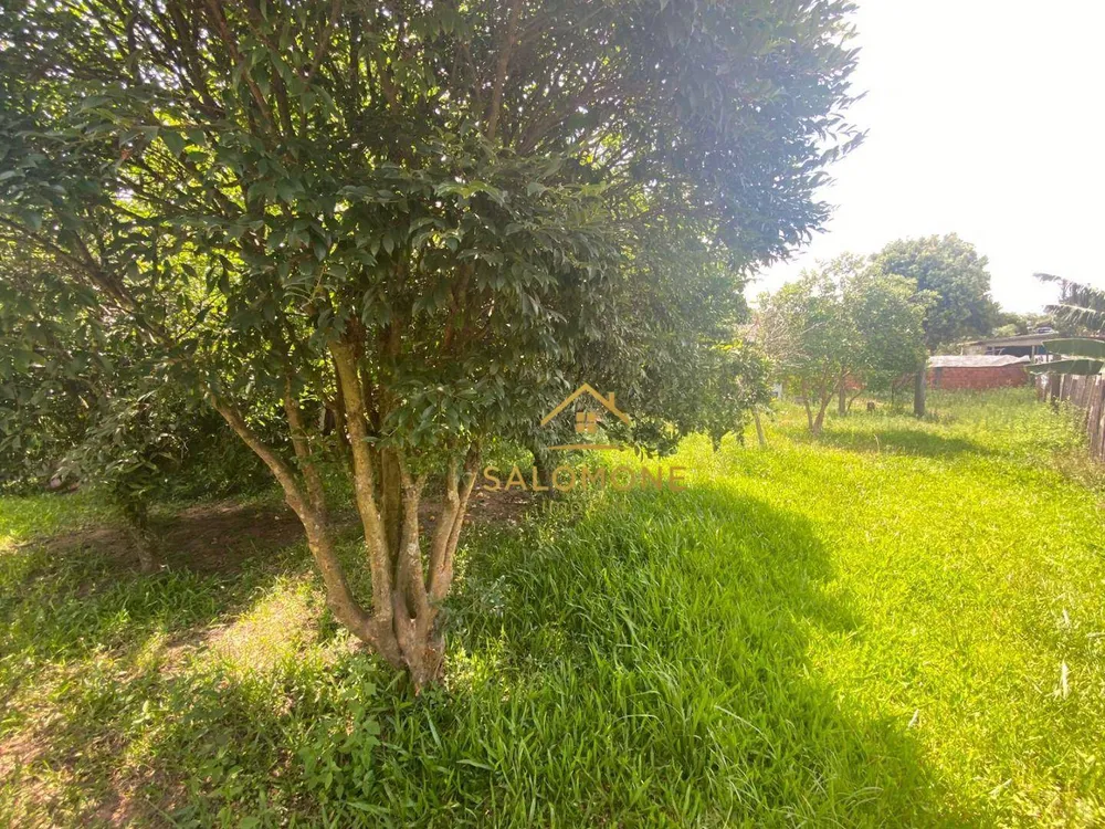 Casa, 3 quartos, 200 m² - Foto 5