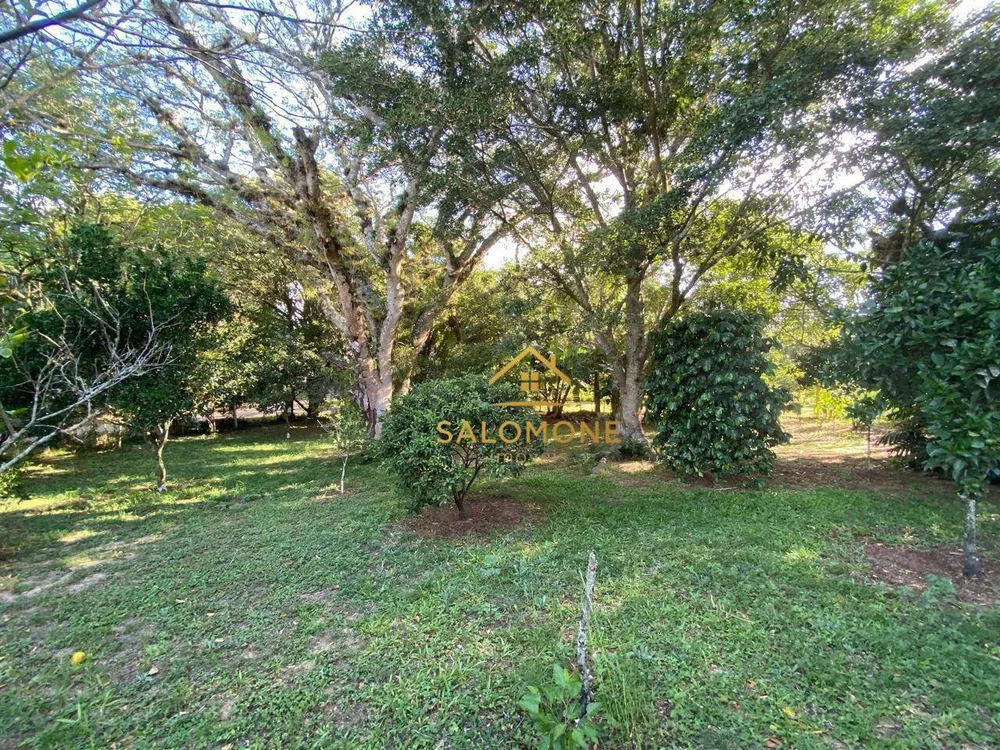 Sítio, 3 quartos, 4300 m² - Foto 5