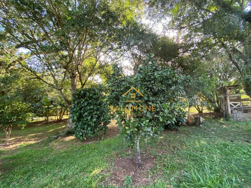 Sítio, 3 quartos, 4300 m² - Foto 4