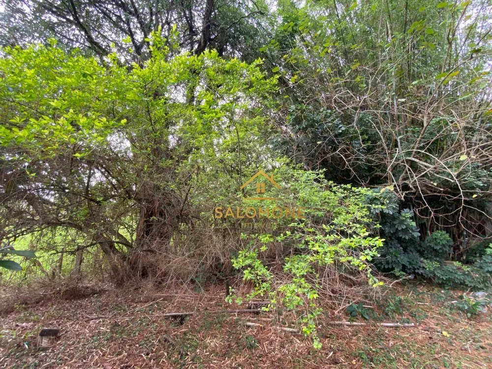 Casa, 5 quartos, 500 m² - Foto 1