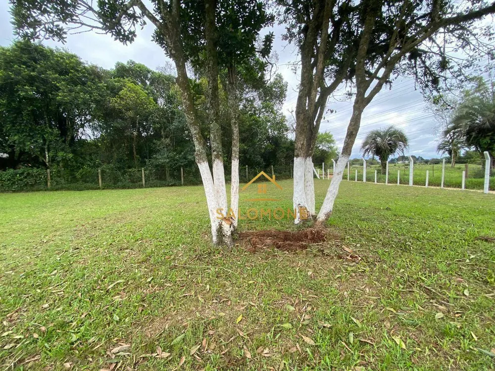 Sítio, 1 quarto, 1200 m² - Foto 15