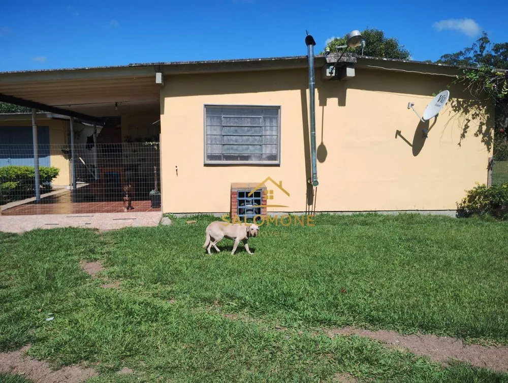 Sítio, 2 quartos, 5800 m² - Foto 11