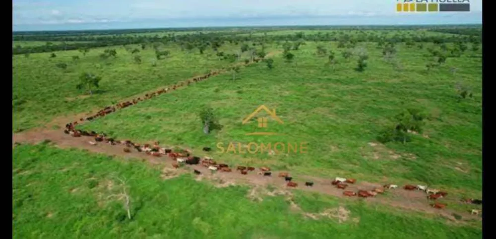 Fazenda, 21800 hectares - Foto 1