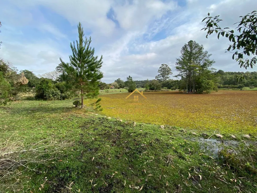Sítio, 2 quartos, 15 hectares - Foto 4