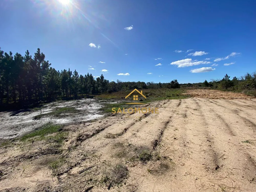 Terreno, 2 hectares - Foto 6