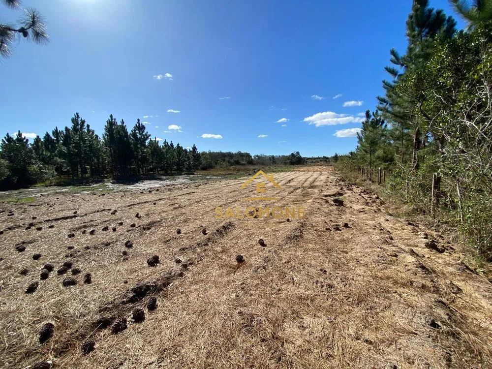 Terreno, 2 hectares - Foto 10