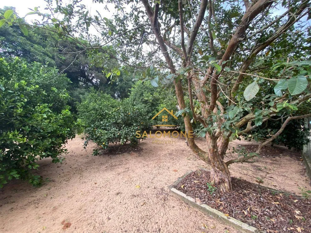 Sítio, 2 quartos, 3300 m² - Foto 11