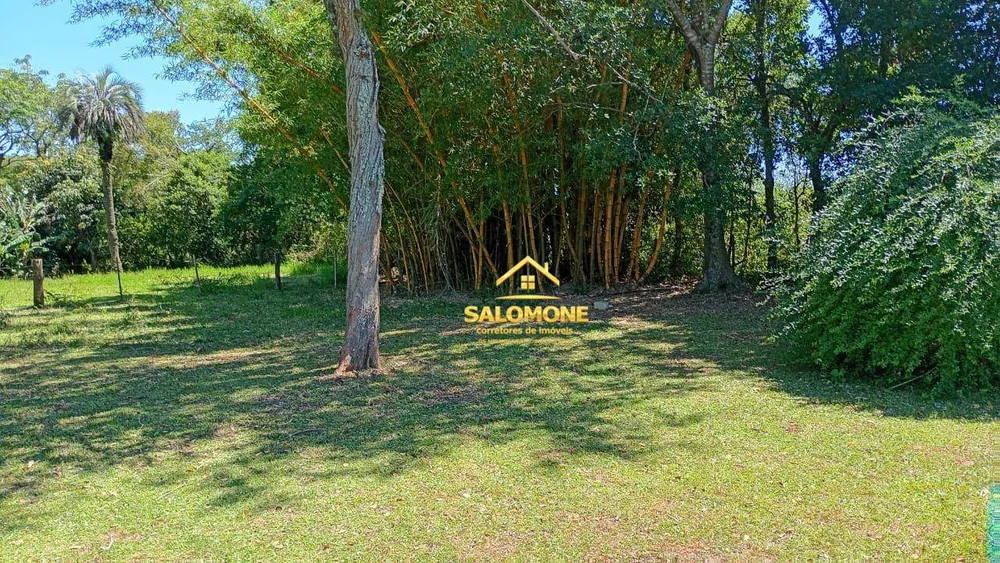 Sítio, 5 quartos, 8 hectares - Foto 8