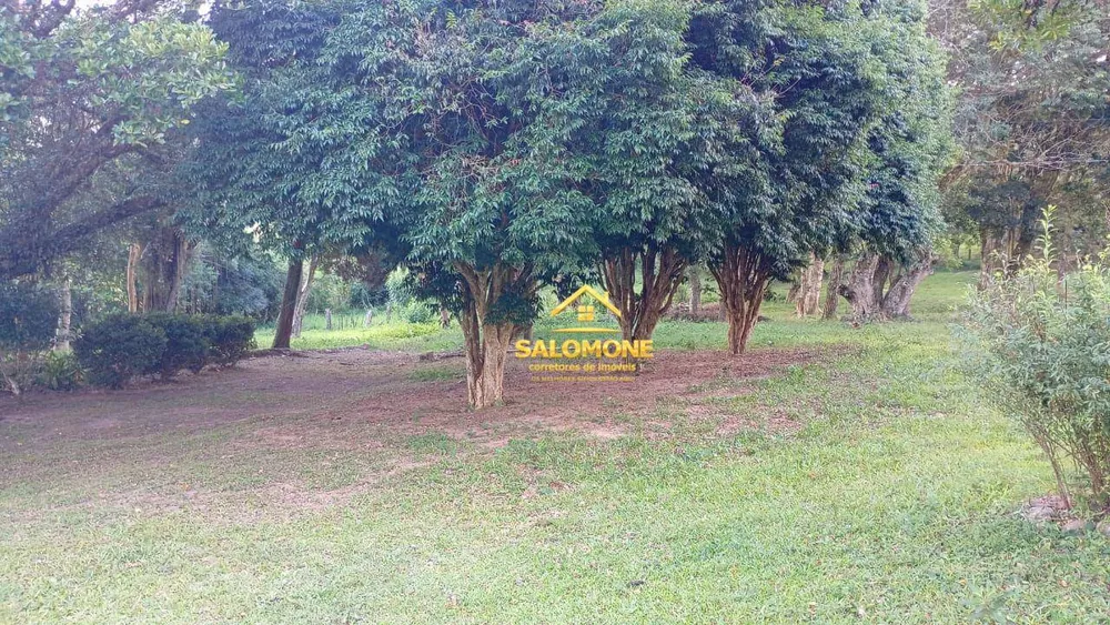 Sítio, 5 quartos, 8 hectares - Foto 5