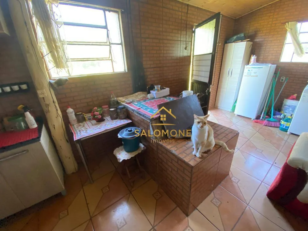 Sítio, 4 quartos, 10 hectares - Foto 11