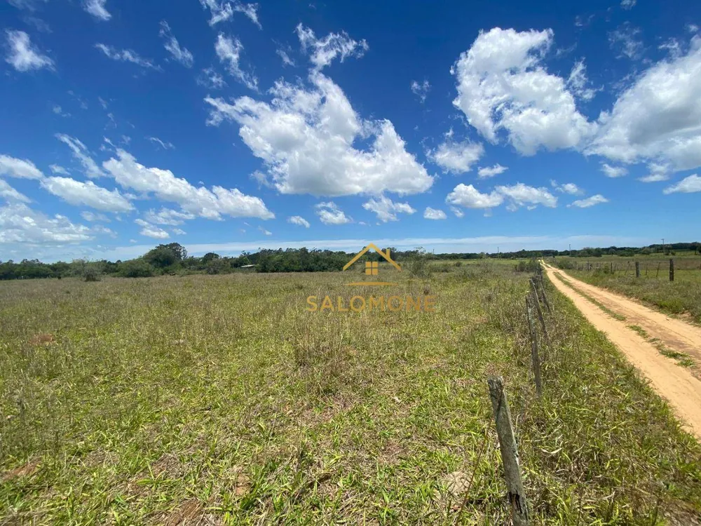 Sítio, 2 hectares - Foto 8