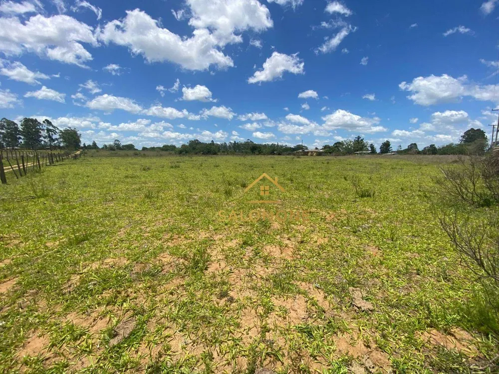 Sítio, 2 hectares - Foto 4