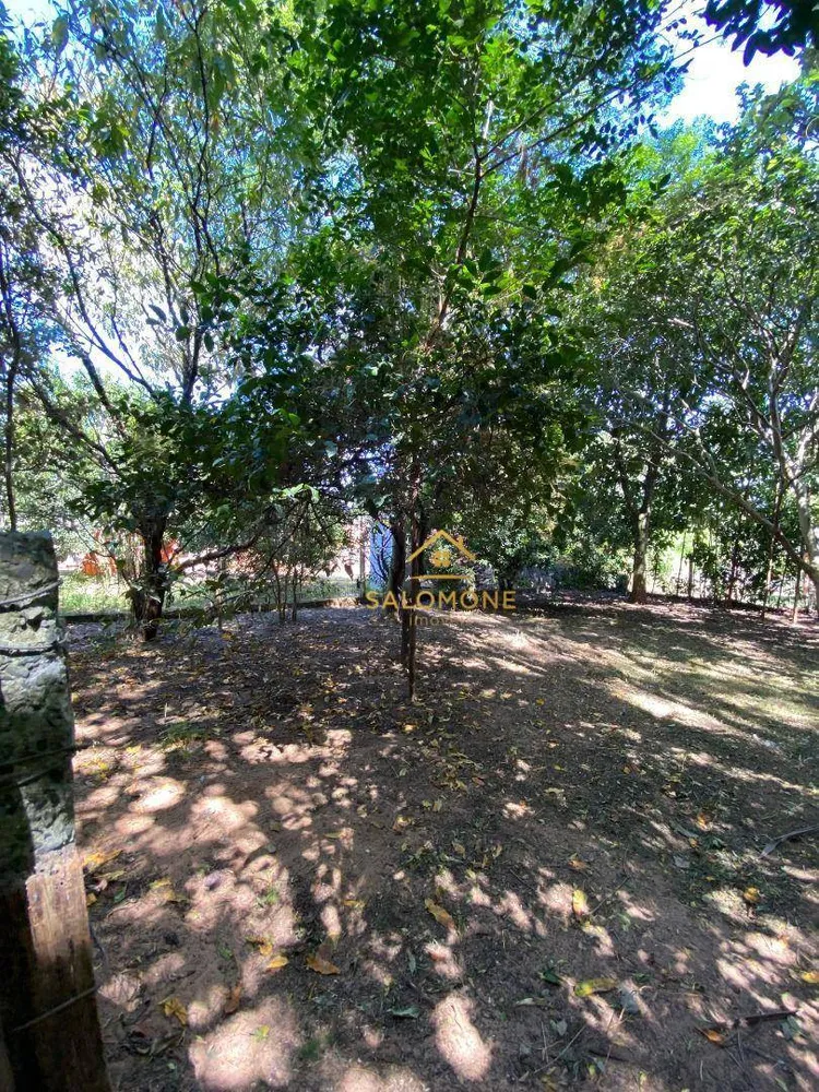 Sítio, 2 quartos, 993 m² - Foto 3