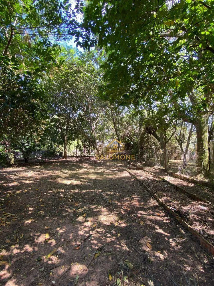Sítio, 2 quartos, 993 m² - Foto 5