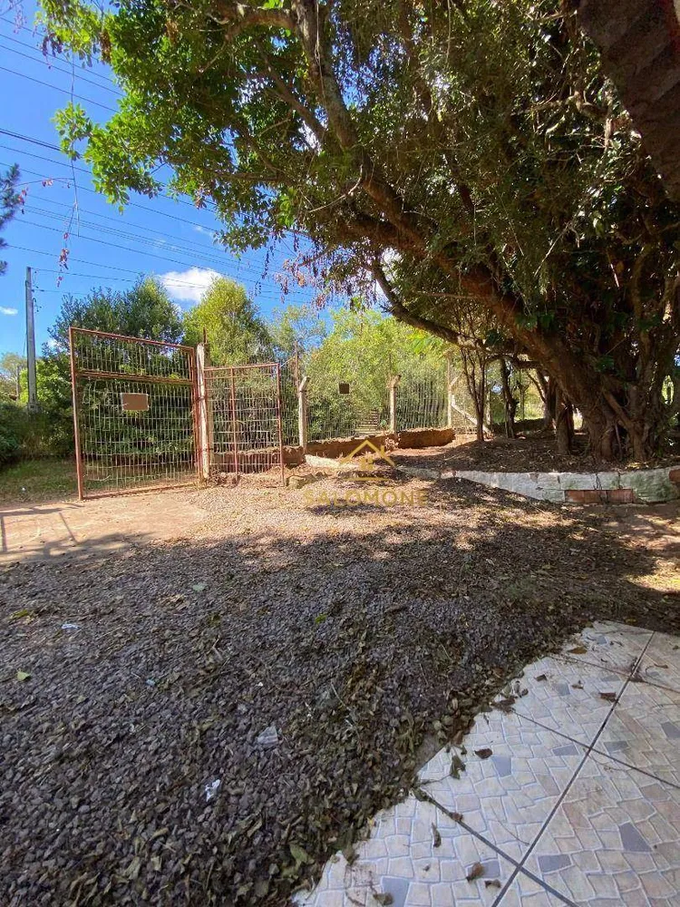 Sítio, 2 quartos, 993 m² - Foto 2
