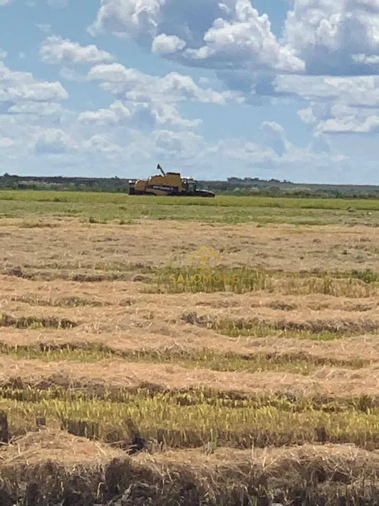 Fazenda, 45000 hectares - Foto 1