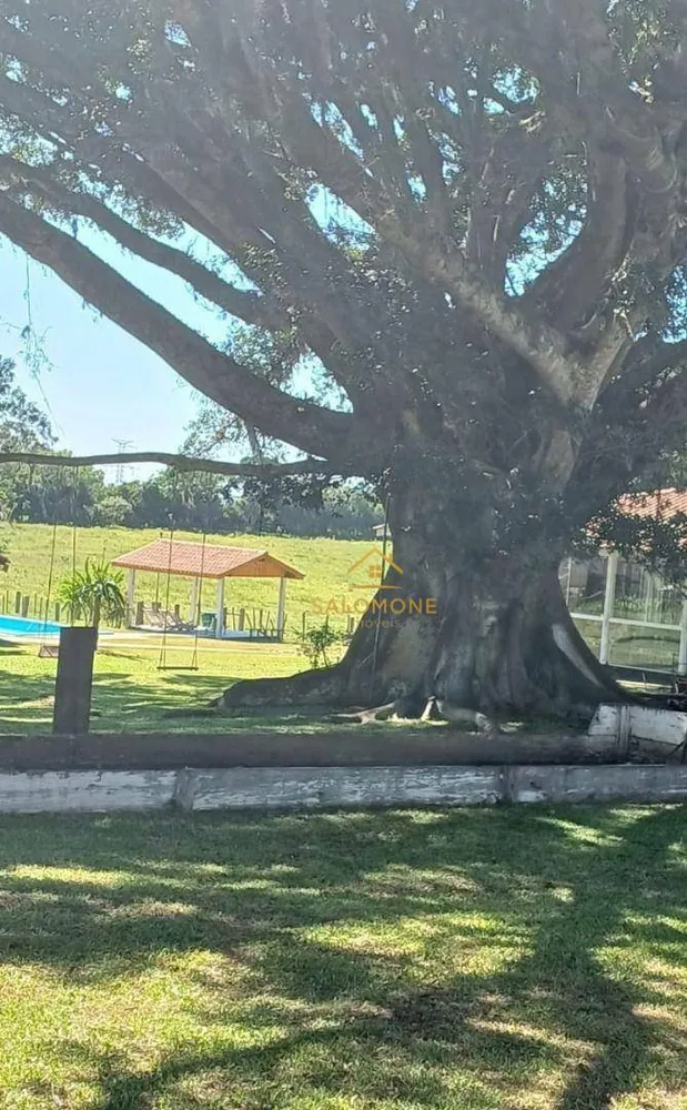 Sítio, 3 quartos, 6 hectares - Foto 16