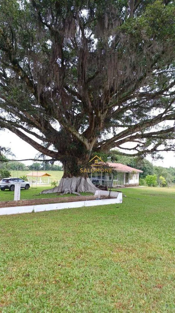Sítio, 3 quartos, 6 hectares - Foto 18