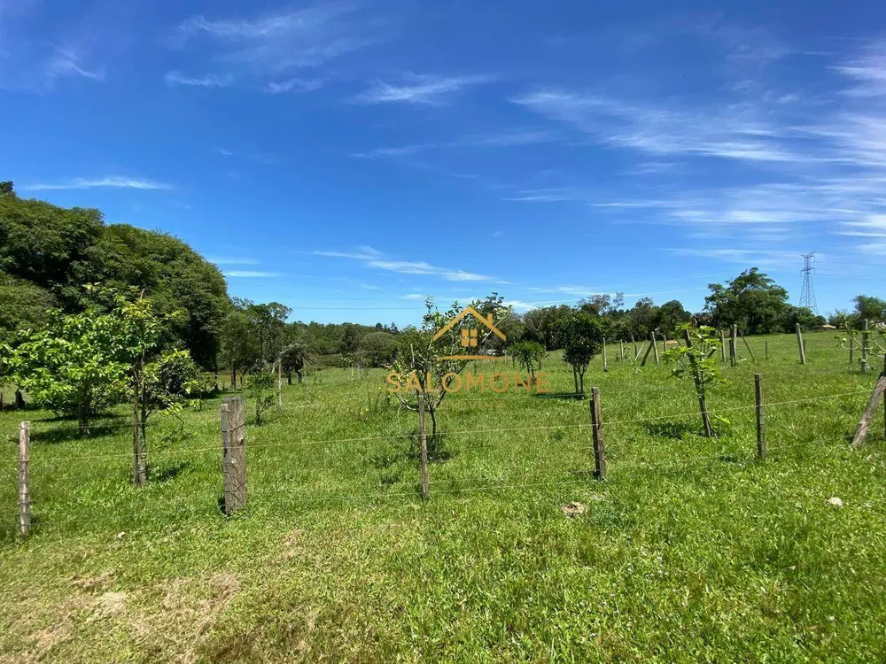 Sítio, 3 quartos, 6 hectares - Foto 14