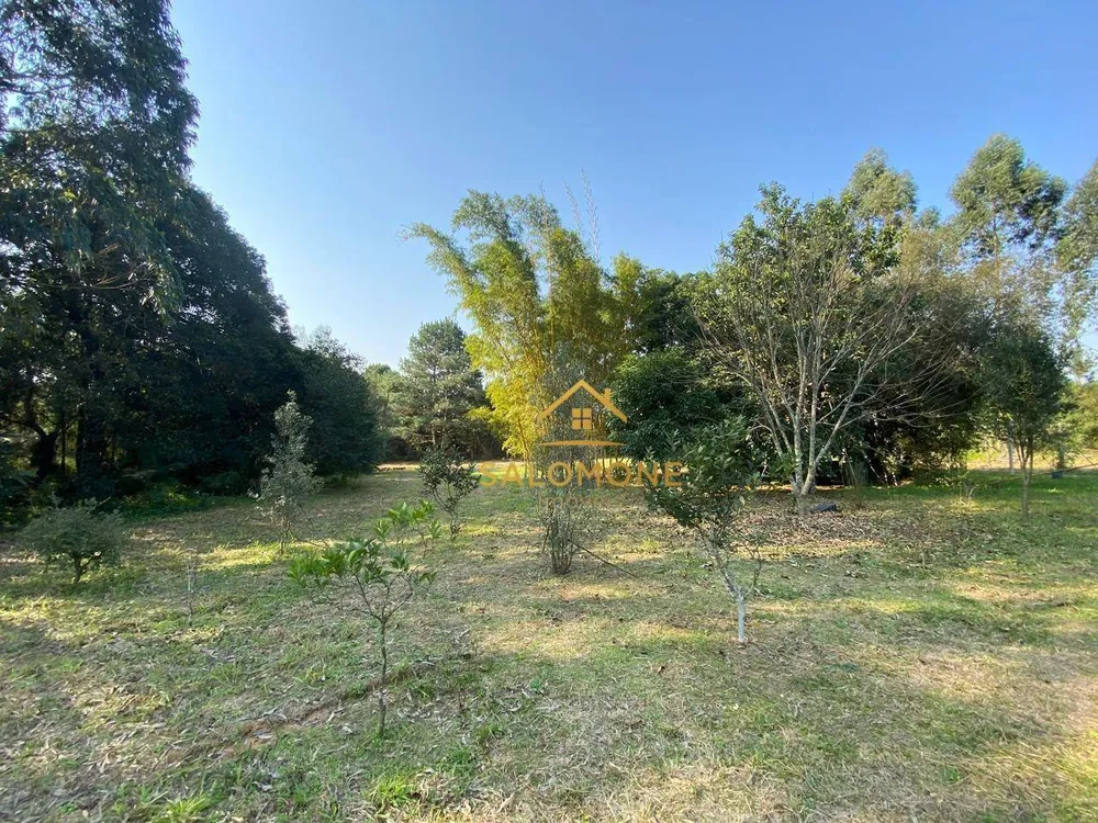 Sítio, 3 quartos, 5000 m² - Foto 11