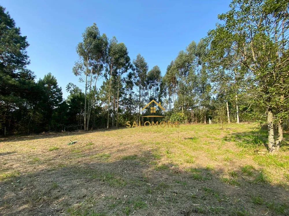 Sítio, 3 quartos, 5000 m² - Foto 9