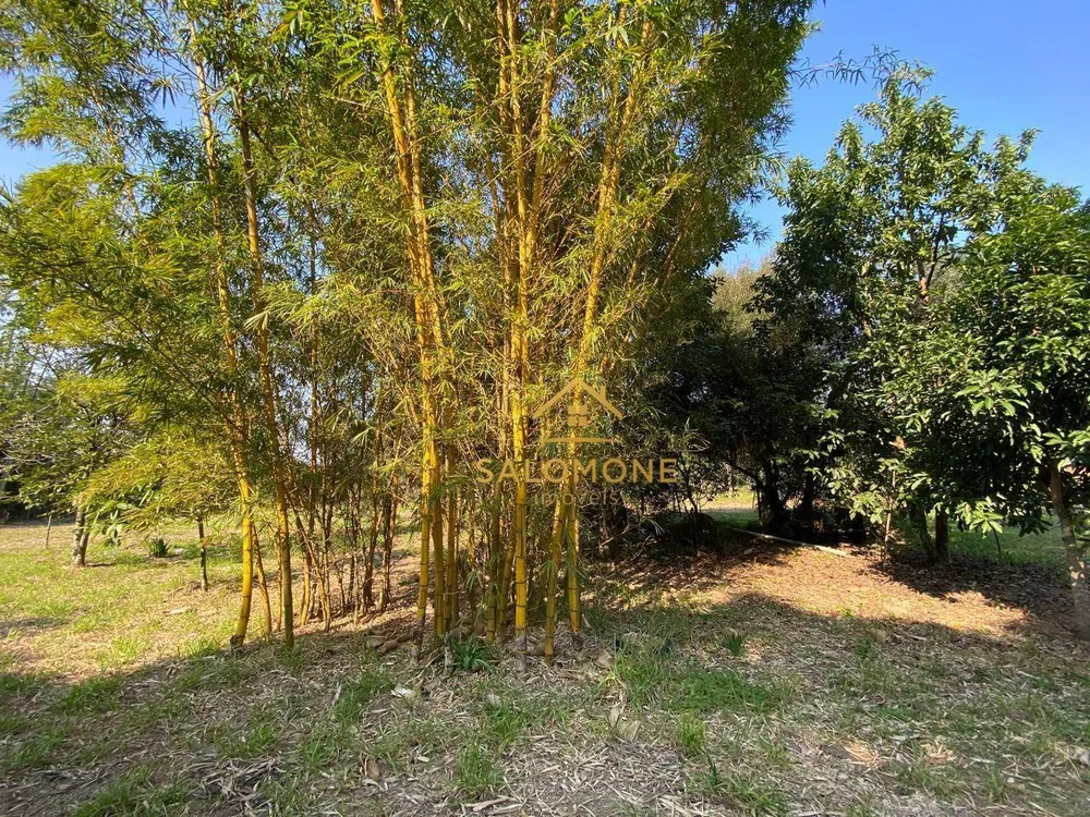 Sítio, 3 quartos, 5000 m² - Foto 5