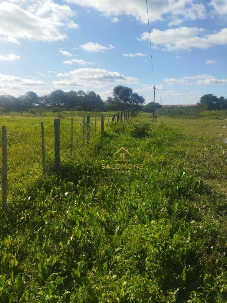 Fazenda, 11500 hectares - Foto 1
