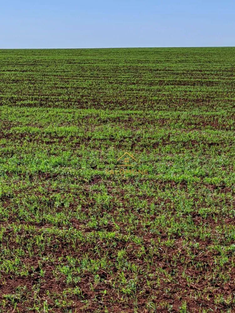Fazenda, 11500 hectares - Foto 2