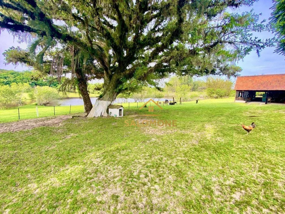 Sítio, 2 quartos, 4 hectares - Foto 2