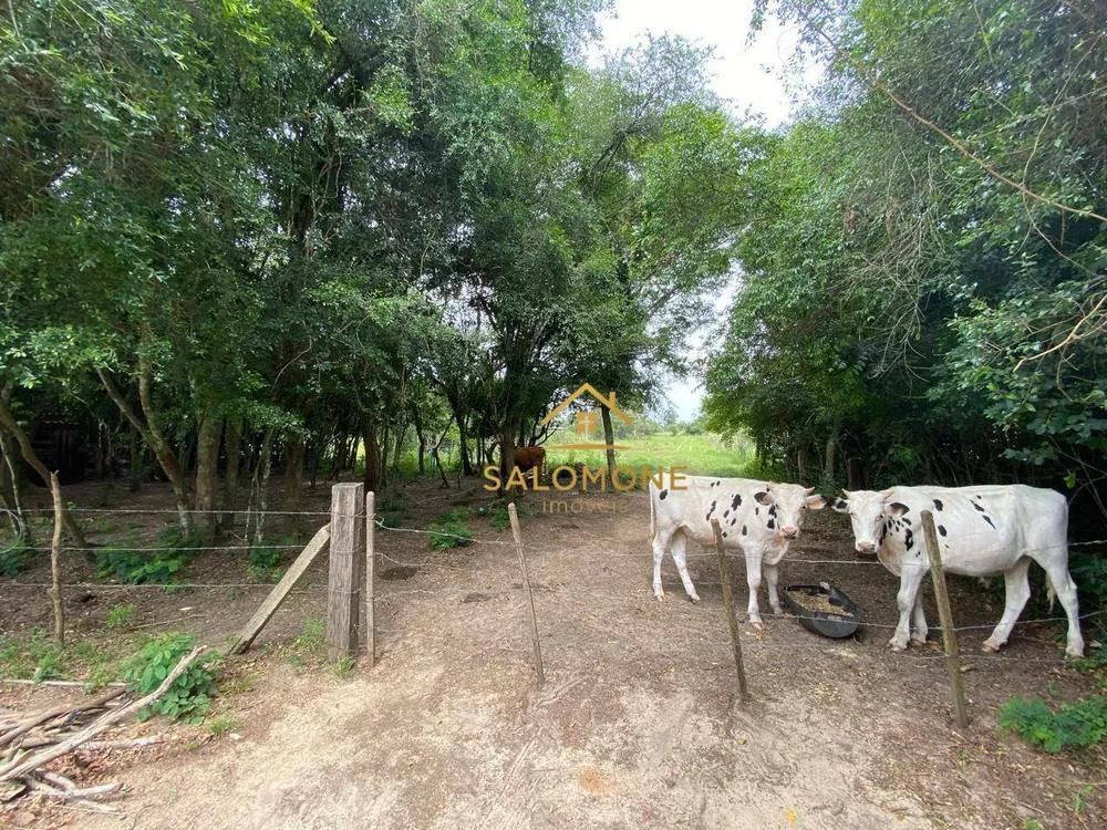 Sítio, 3 quartos, 3 hectares - Foto 4