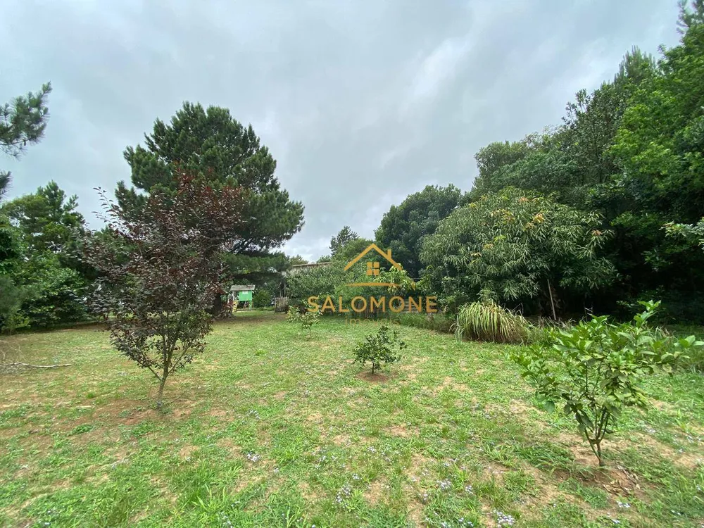 Sítio, 2 quartos, 2600 m² - Foto 4