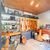 Casa, 5 quartos, 370 m² - Foto 38