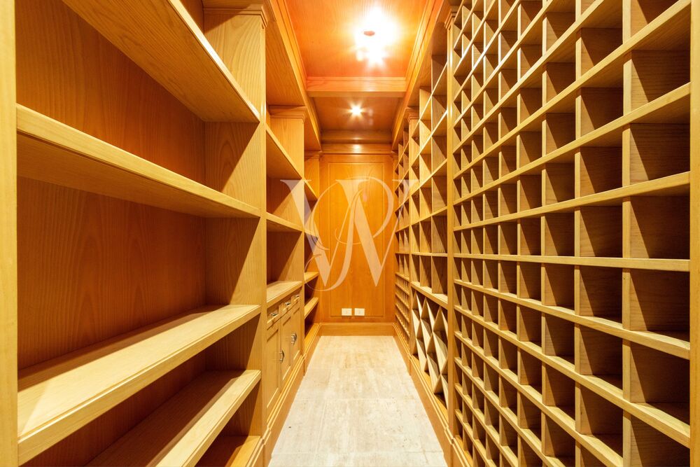 Casa, 4 quartos, 750 m² - Foto 15