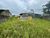 Terreno, 300 m² - Foto 3