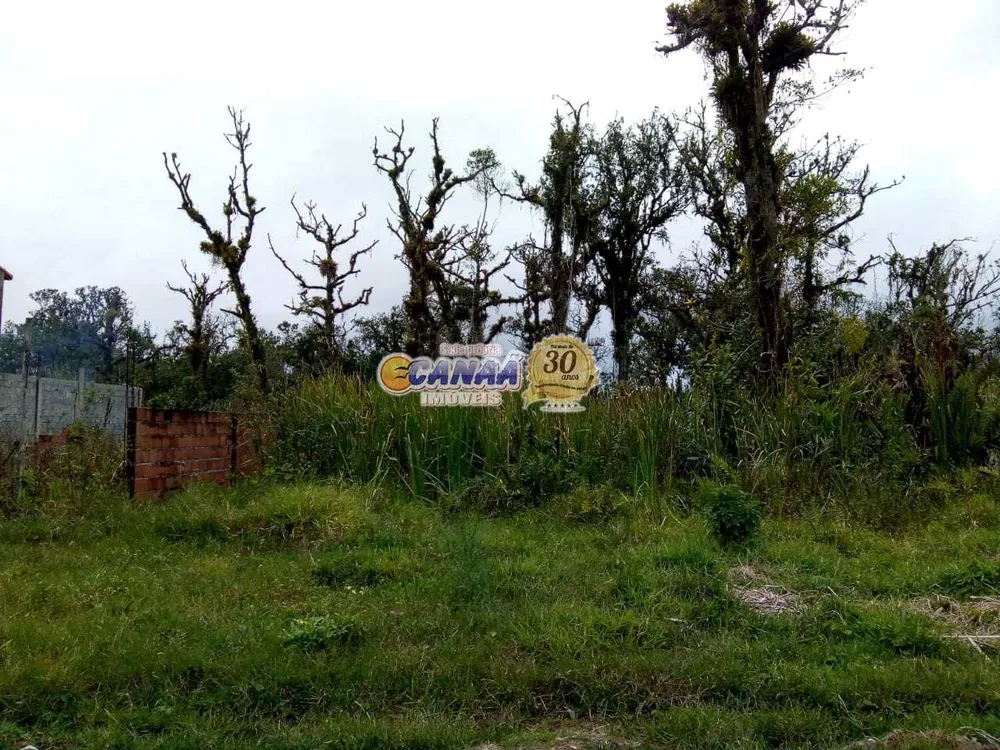 Terreno, 250 m² - Foto 2