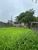 Terreno, 253 m² - Foto 1