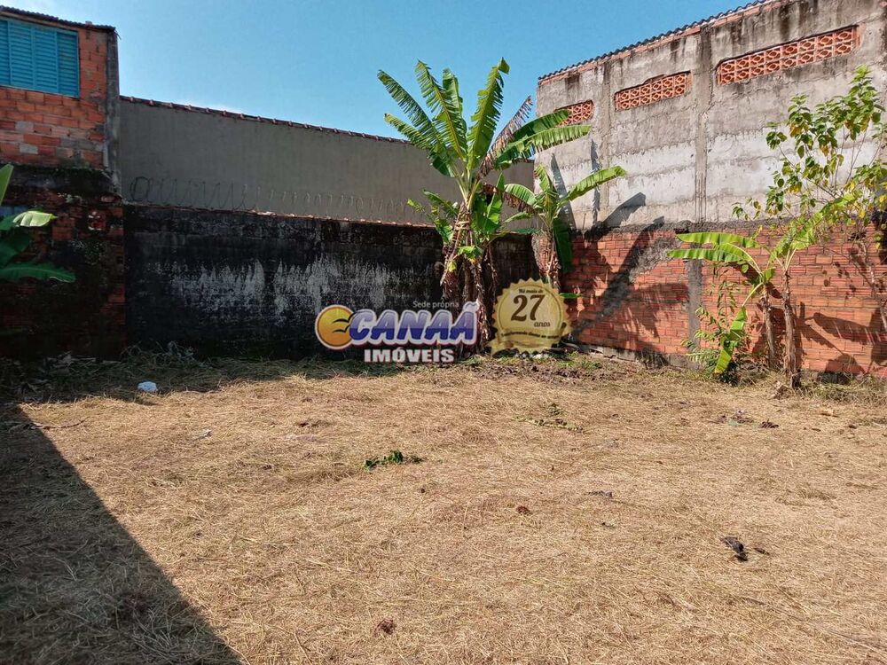 Terreno, 300 m² - Foto 4