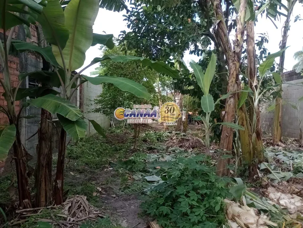 Terreno, 290 m² - Foto 9