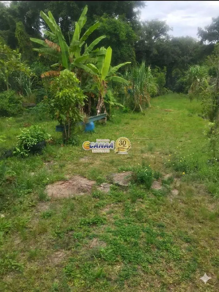 Terreno, 3800 m² - Foto 4